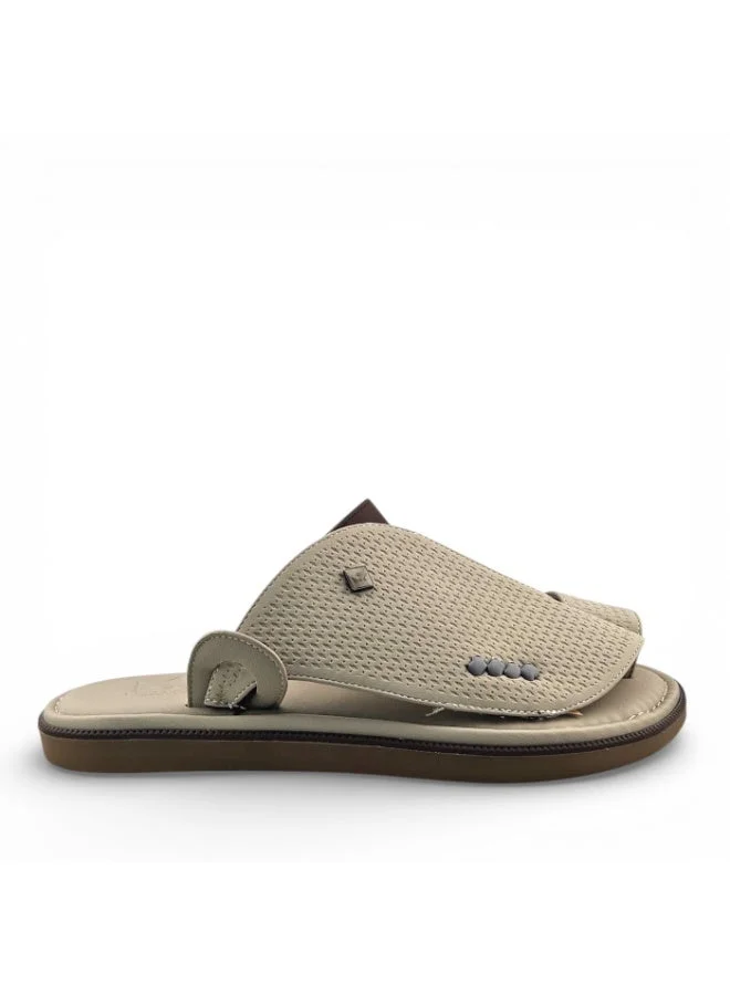 الفانوس الفانوس: سيغنتشر رويال